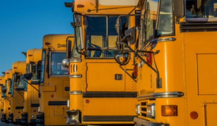 Line of yellow school buses