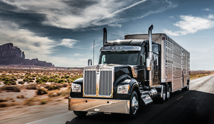 Black class 8 truck with sleeper and trailer driving on empty desert road